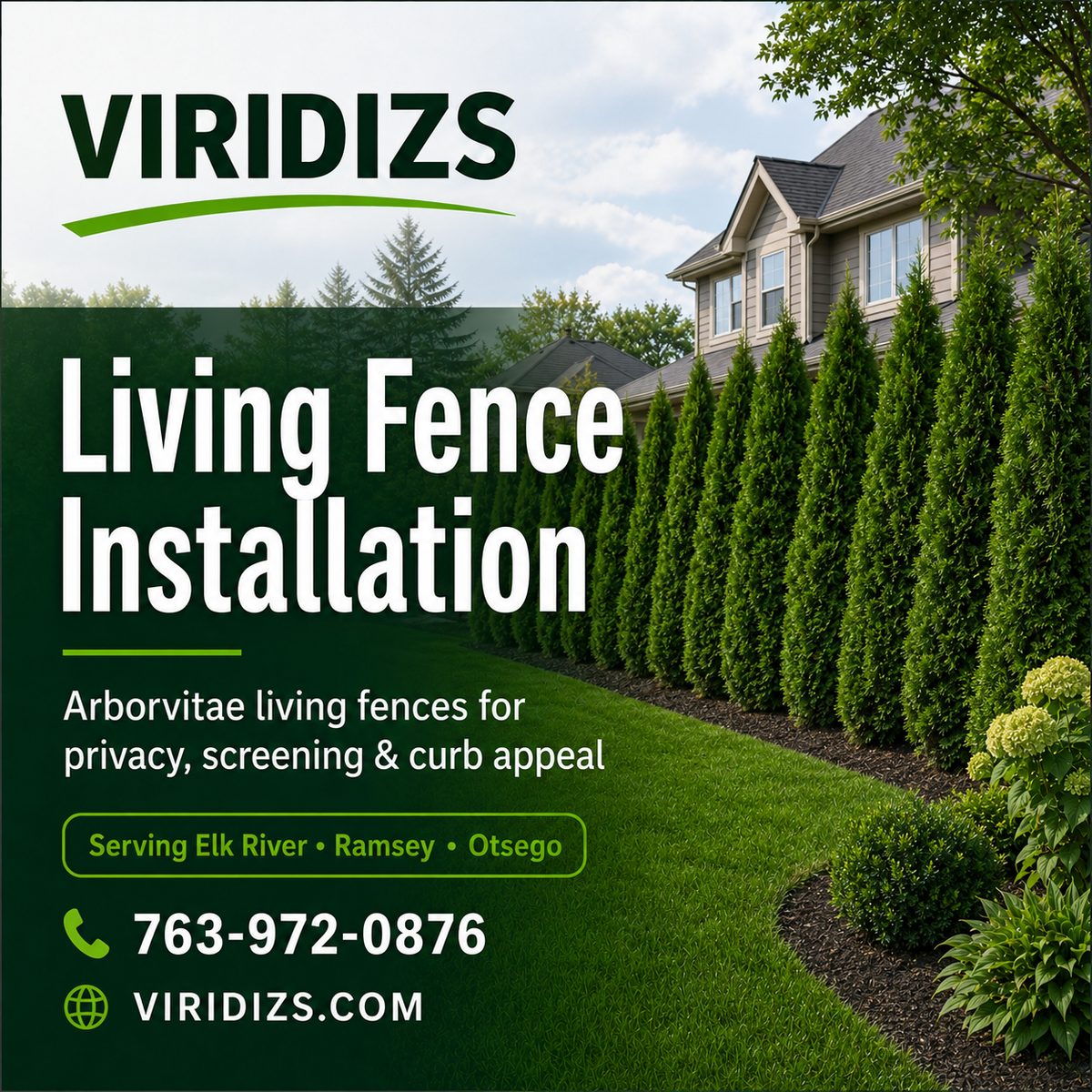Completed arborvitae living fence along property line — Elk River, MN