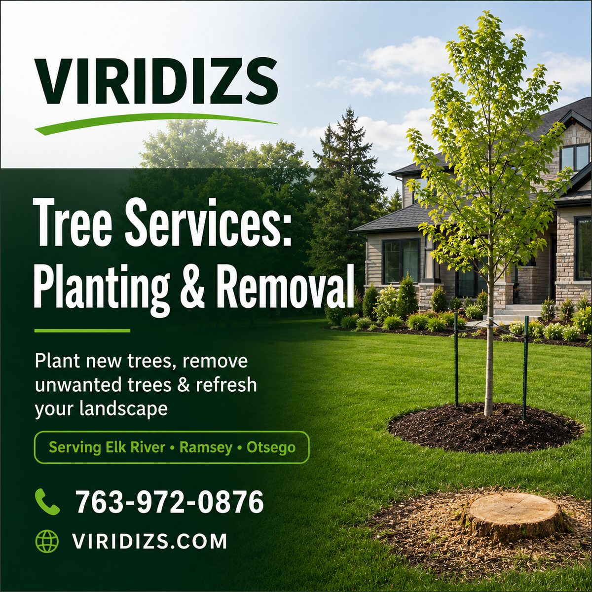 Tree planting and removal services by Viridizs — new tree planted with mulch ring, old stump visible
